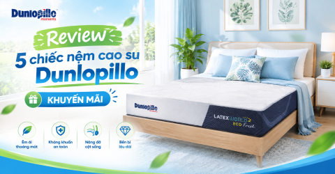 Review 5 chiếc nệm cao su Dunlopillo khuyến mãi tại Thegioinem.com